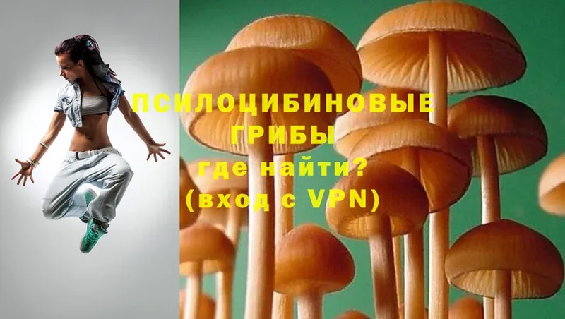 кракен ССЫЛКА  Кулебаки  Галлюциногенные грибы MAGIC MUSHROOMS 